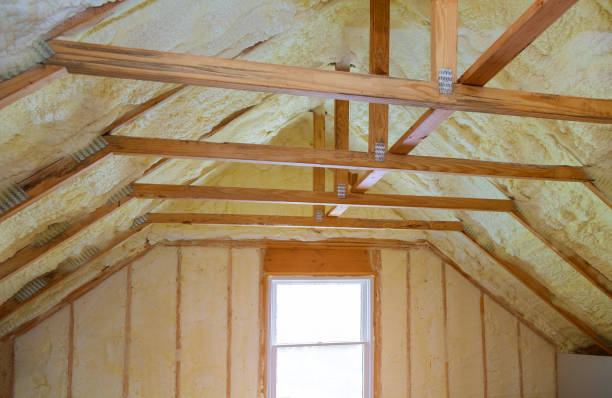 Best DIY Insulation Kits and Guidance in North Lauderdale, FL