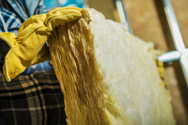 Best Eco-Friendly Insulation in North Lauderdale, FL